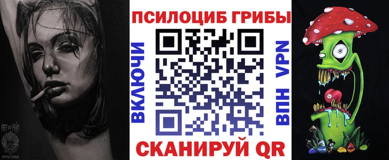 где найти наркотики  Олонец  Псилоцибиновые грибы Magic Shrooms 